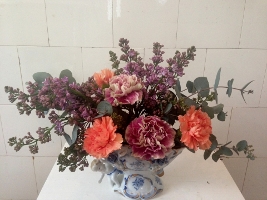 in Bloom, Florist - Sassa Lee